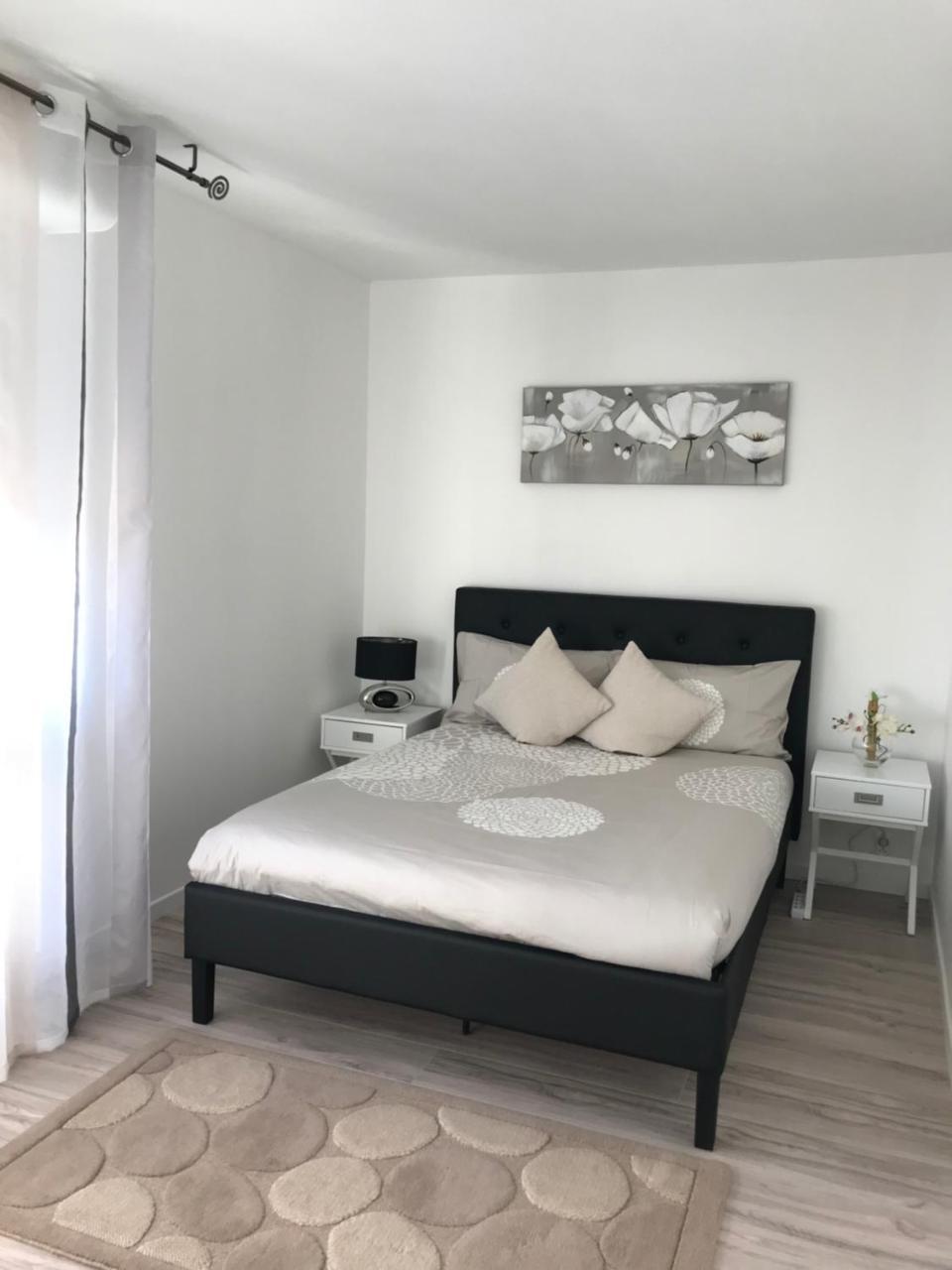 Roanne-Centre Appartement Dış mekan fotoğraf