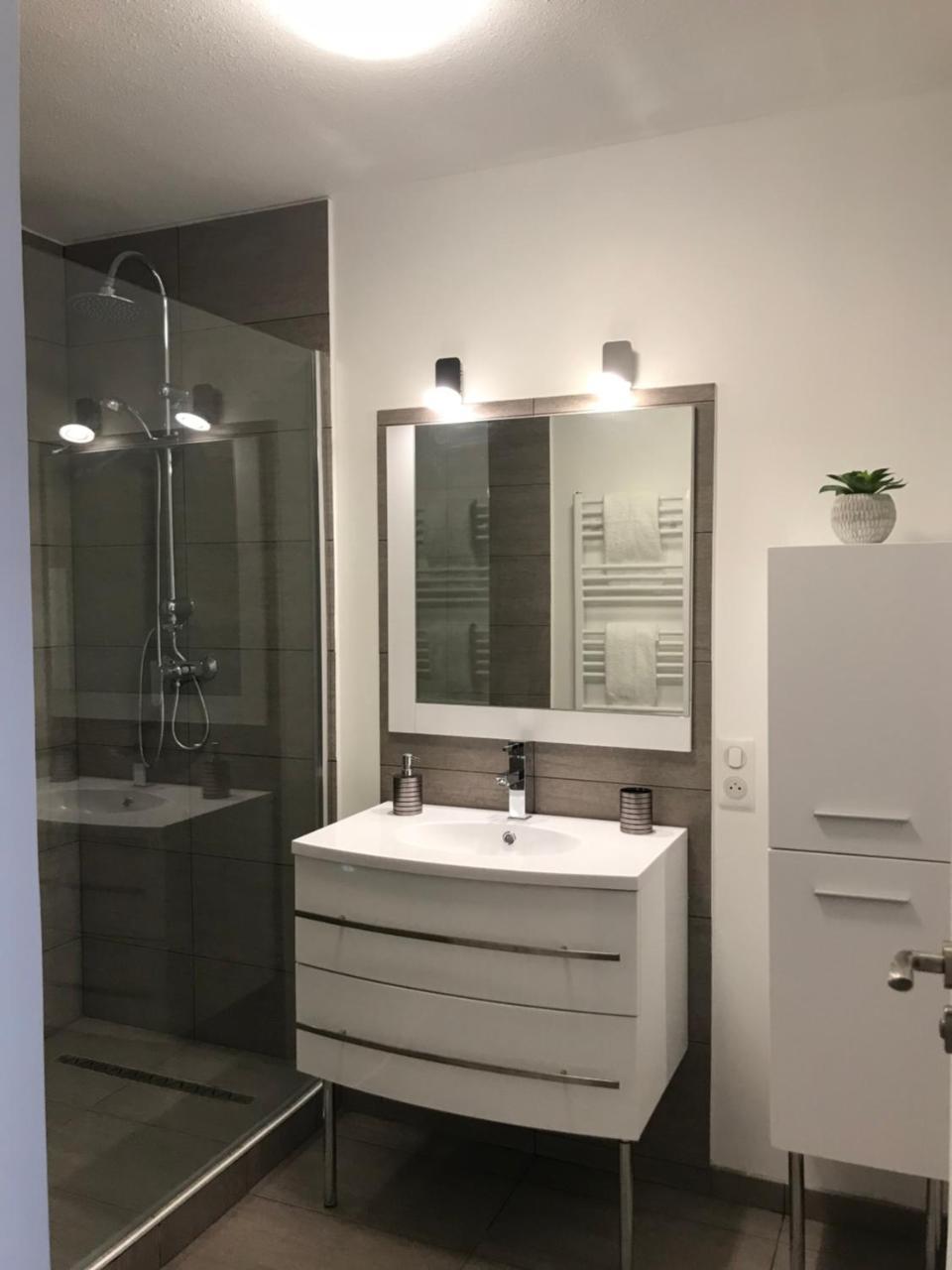 Roanne-Centre Appartement Dış mekan fotoğraf