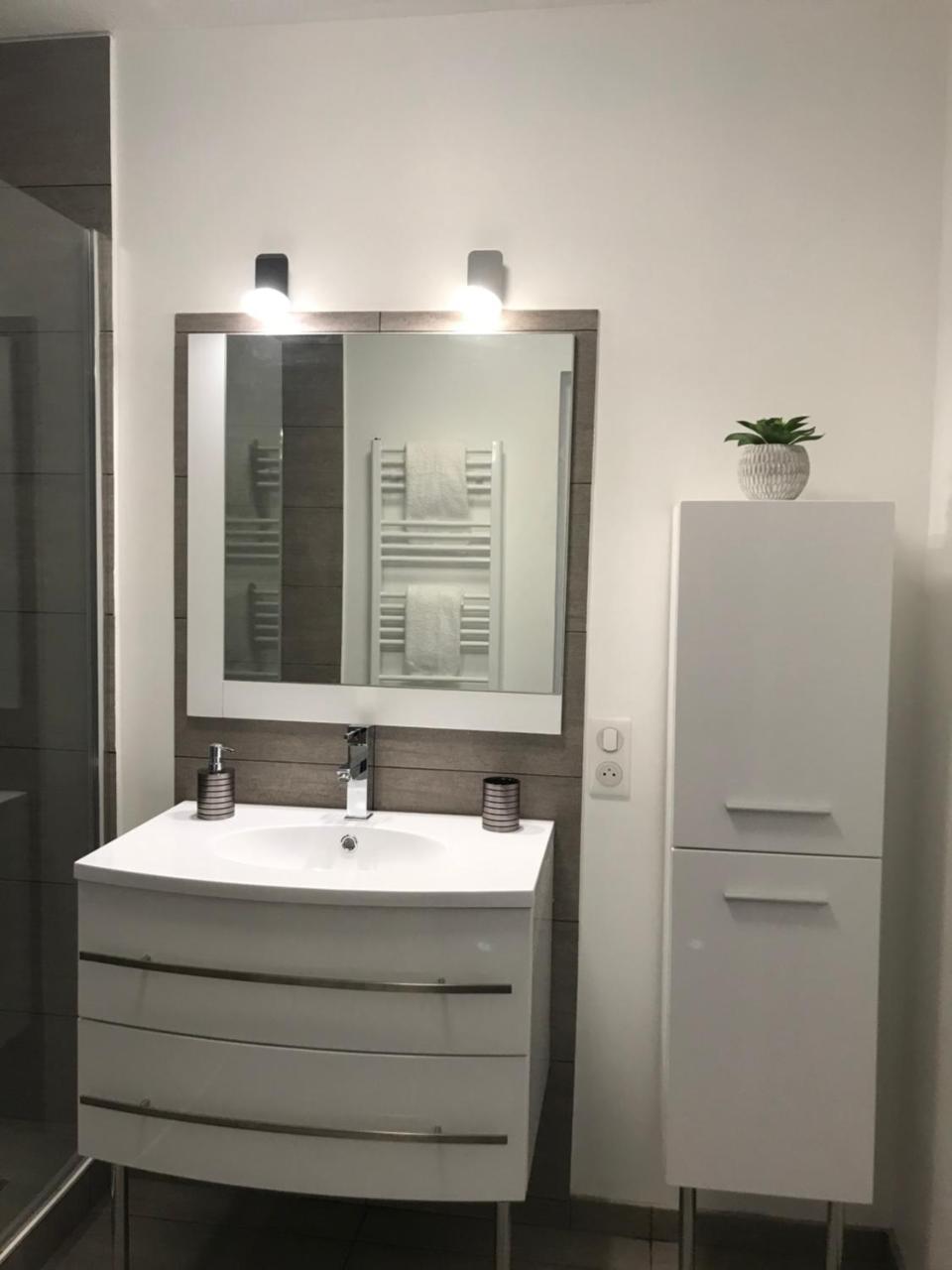 Roanne-Centre Appartement Dış mekan fotoğraf